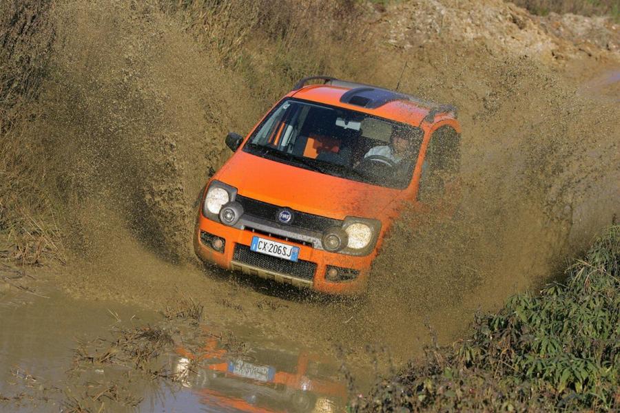  Fiat Panda Cross 2006 года  (фото 11 из 39)